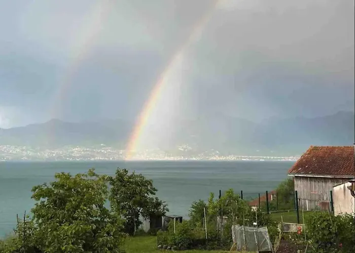 Chez Malou & Hugo Vue Lac Proche Suisse & Stations !